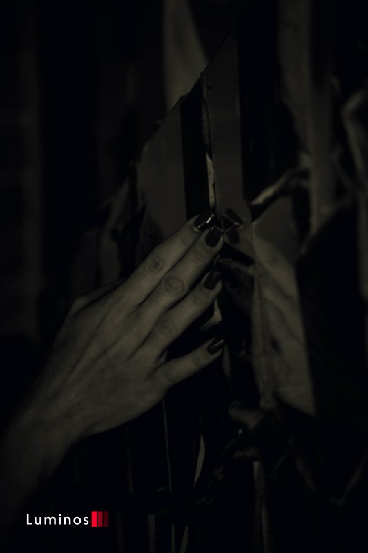 Teste Sessão Fotográfica